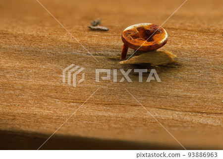 Ultra macro from a rusty screw with its head sticking out of the splintered wood of a board Ultra macro from a rusty screw with its head sticking out of the splintered wood of a board 93886963