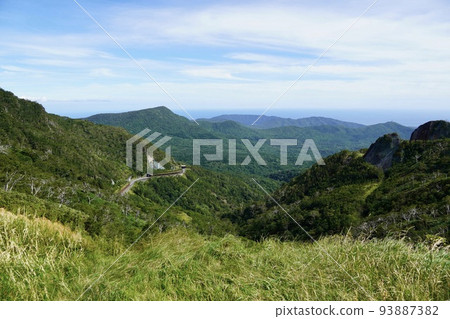 Forest area seen from the Orofure Pass observatory 93887382