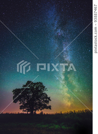 Night landscape with colorful Milky Way and an Oak tree Night landscape with colorful Milky Way and an Oak tree 93887467