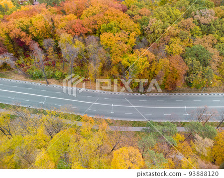 Aerial driveway road in vivid yellow autumn forest 93888120