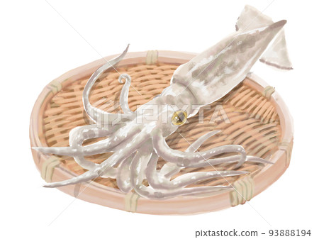 Zarumori 魷魚 01 93888194