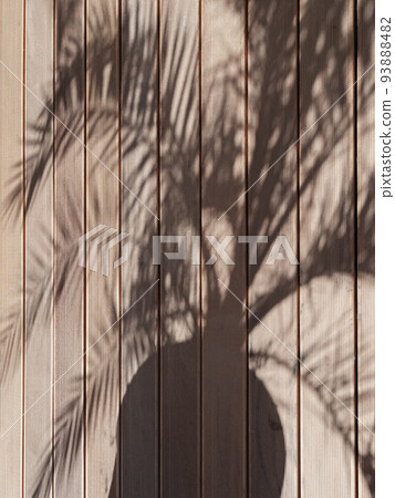 Shade from a palm tree on a wooden floor. Shadow pattern from a palm tree in a pot on a floor 93888482