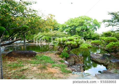 Mihashira Shrine Garden 93888668