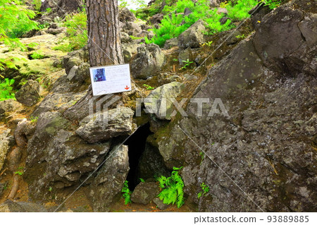 群馬縣嬬戀村 Onioshidashi 花園 93889885