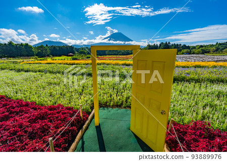 Rainbow Flower Festival Mt.Fuji and Flower Field Summer Rainbow Flower Festival Mt.Fuji and Flower Field Summer 93889976