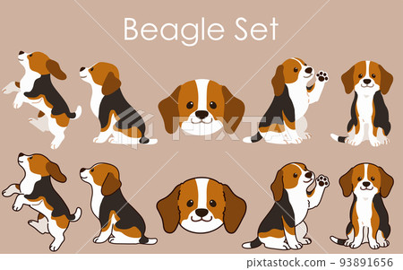 Simple and cute beagle illustration set with/without main line Simple and cute beagle illustration set with/without main line 93891656