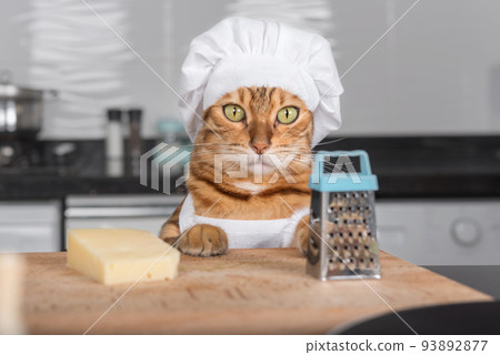 A cat in a white apron and a chef's hat next to hard cheese and a grater. A cat in a white apron and a chef's hat next to hard cheese and a grater. 93892877
