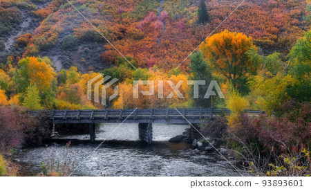 Wooden bridge over Provo river in Utah 93893601
