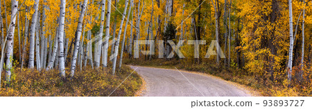 Scenic autumn drive in Uinta Wasatch Cache National forest in Utah. Scenic autumn drive in Uinta Wasatch Cache National forest in Utah. 93893727
