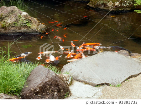 There is also a full-fledged Japanese garden, an excursion style that you can walk around, and a water mill and a small waterfall for overseas guests. 93893732