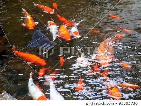 There is also a full-fledged Japanese garden, an excursion style that you can walk around, and a water mill and a small waterfall for overseas guests. There is also a full-fledged Japanese garden, an excursion style that you can walk around, and a water mill and a small waterfall for overseas guests. 93893736