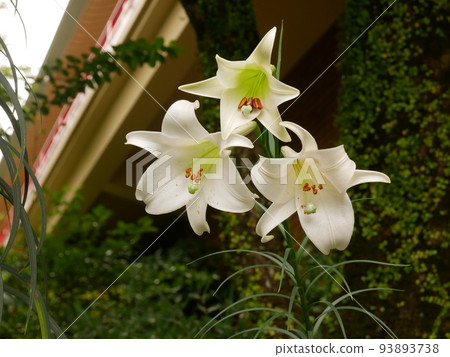 There is also a full-fledged Japanese garden, an excursion style that you can walk around, and a water mill and a small waterfall for overseas guests. 93893738