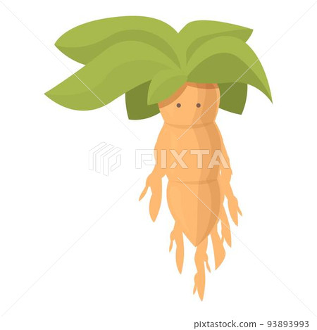 Mandrake icon cartoon vector. Alchemy leaf. Plant herb Mandrake icon cartoon vector. Alchemy leaf. Plant herb 93893993