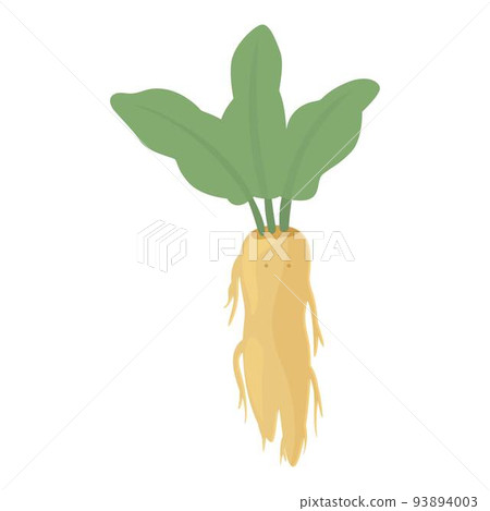 Medicine mandrake icon cartoon vector. Magic mandragora. Root nature 93894003