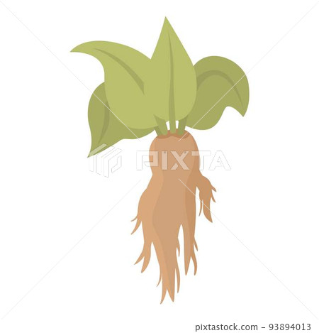 Nature mandrake icon cartoon vector. Green plant. Child garden 93894013