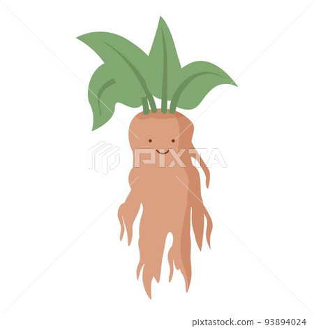 Poison mandrake icon cartoon vector. Mandragora leaf. Plant magic Poison mandrake icon cartoon vector. Mandragora leaf. Plant magic 93894024