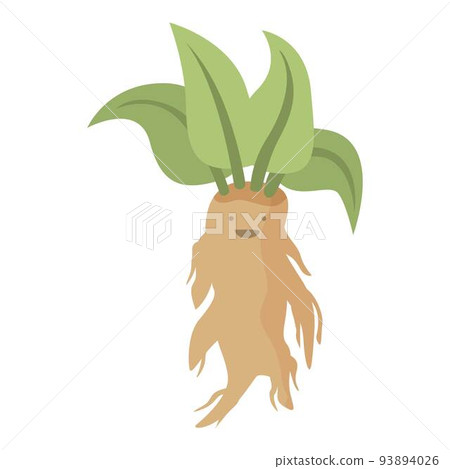 Herb mandrake icon cartoon vector. Leaf plant. Ancient magic 93894026