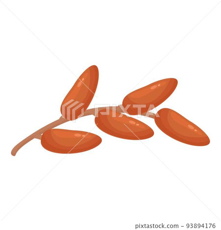Seed date fruit icon cartoon vector. Palm food. Saudi fresh Seed date fruit icon cartoon vector. Palm food. Saudi fresh 93894176