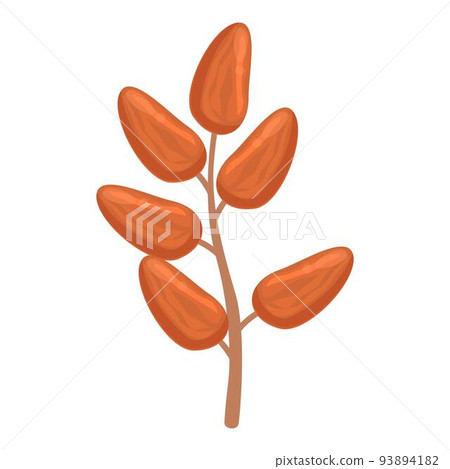 Date fruit branch icon cartoon vector. Palm food. Arabic seed Date fruit branch icon cartoon vector. Palm food. Arabic seed 93894182
