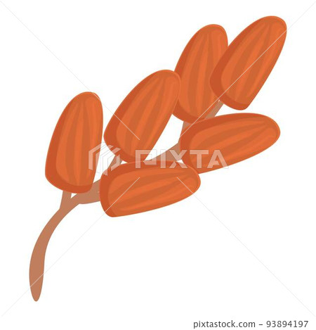 Branch food icon cartoon vector. Palm fruit. Arabic seed Branch food icon cartoon vector. Palm fruit. Arabic seed 93894197