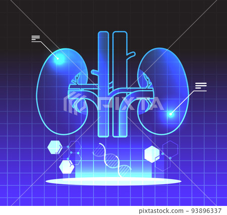 virtual anatomical kidneys structure human body internal organ anatomy medicine vr vision headset innovation metaverse 93896337
