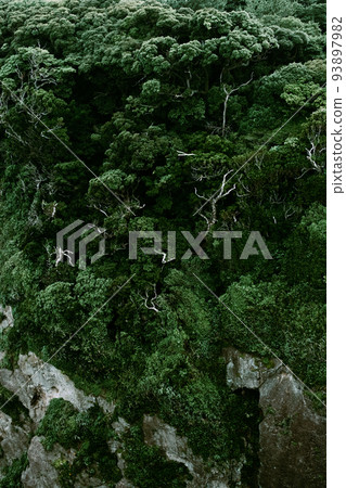 View from Enoshima Sea Candle 93897982