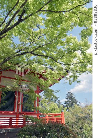 Tenhorindo, a verdant Kurama-dera temple, Sakyo-ku, Kyoto 93898836