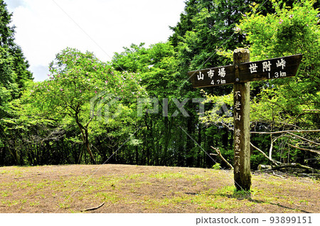 Furozan north peak in Nishitanzawa, the peak of Sansho roses blooming Furozan north peak in Nishitanzawa, the peak of Sansho roses blooming 93899151