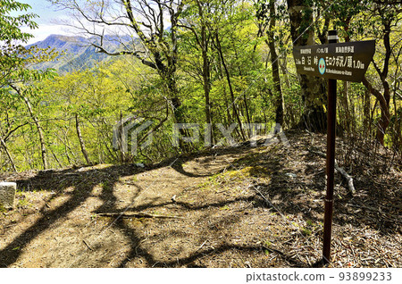 Tanzawa's Koso border ridge View of Mt. Kaido from the summit of Bankinokashira 93899233