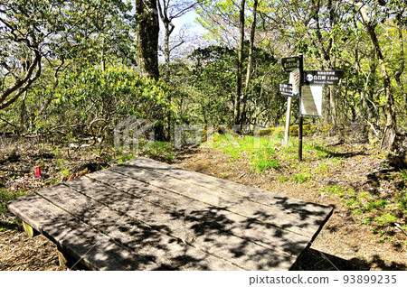 丹澤的高總邊境山脊,新鮮的綠色植物中的 Morokubo Sawa-no-kashira 峰 丹澤的高總邊境山脊,新鮮的綠色植物中的 Morokubo Sawa-no-kashira 峰 93899235