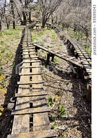 Tanzawa's Mount Omuro Boardwalk on the Kaso border ridge Tanzawa's Mount Omuro Boardwalk on the Kaso border ridge 93899343