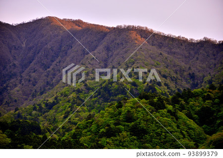 日出時的西丹澤大室山 日出時的西丹澤大室山 93899379