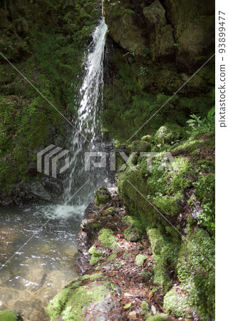 京都市西京區大原野金藏寺 京都市西京區大原野金藏寺 93899477