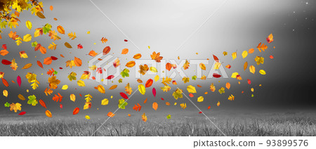 Colorful bright leaves falling in autumnal park. 93899576