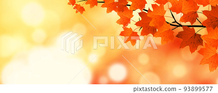 Colorful bright leaves falling in autumnal park. 93899577