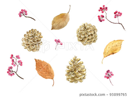 Watercolor illustration set of pine cones, dry leaves and mountain return vector Watercolor illustration set of pine cones, dry leaves and mountain return vector 93899765