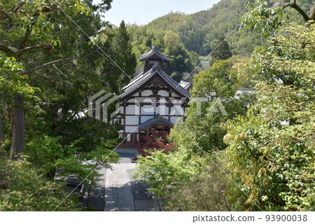 京都府長岡京市 Komyoji Kuri 京都府長岡京市 Komyoji Kuri 93900038