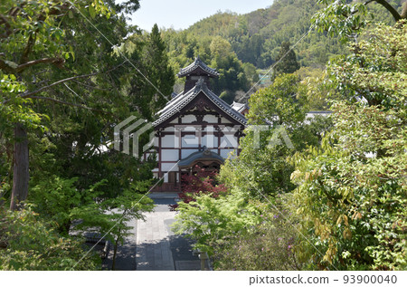 京都府長岡京市 Komyoji Kuri 京都府長岡京市 Komyoji Kuri 93900040