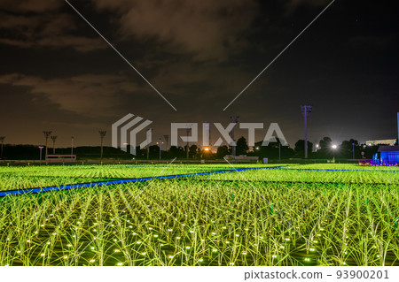 Oi Racecourse Tokyo Mega Illumination 93900201