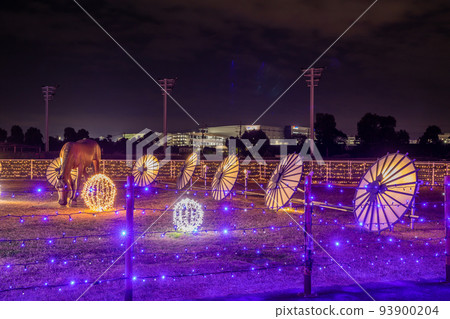 Oi Racecourse Tokyo Mega Illumination 93900204