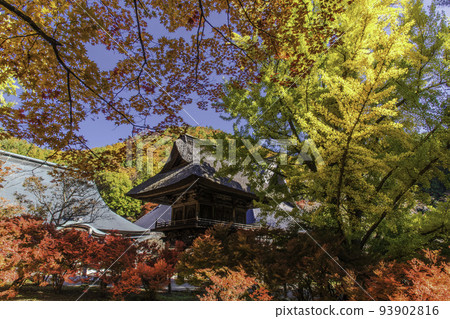 秋葉環繞的靈聖寺寺門 秋葉環繞的靈聖寺寺門 93902816