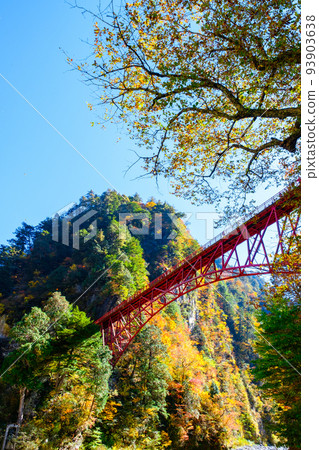 Kurobe Gorge (Autumn): Okukane Bridge Kurobe Gorge (Autumn): Okukane Bridge 93903638