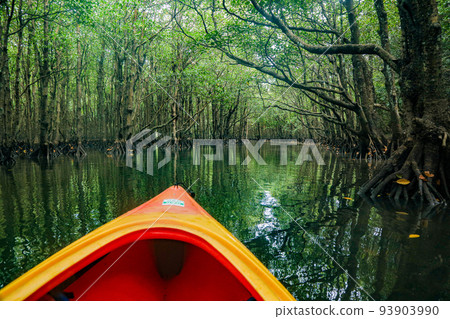 Iriomote Island Nakama River Mangrove Kayak 93903990