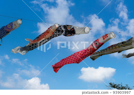 Carp streamer 93903997