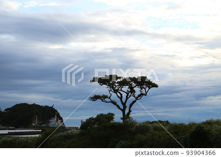 西伊豆町的夜景 西伊豆町的夜景 93904366