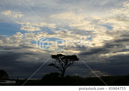 Evening view of Nishiizu Town 93904755