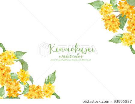 Kinmokusei flower frame 93905887