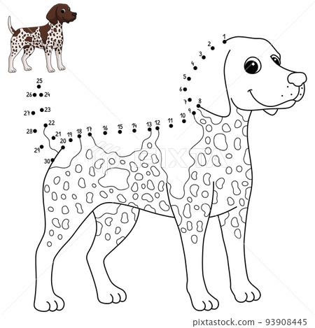 Dot to Dot German Shorthaired Pointer Dog Isolated Dot to Dot German Shorthaired Pointer Dog Isolated 93908445