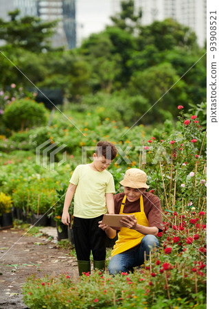 Father and son counting plants in flower nursery and filling form on tablet computer 93908521