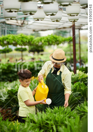 Young Asian woman and her preteen son water plants at flower nursery Young Asian woman and her preteen son water plants at flower nursery 93908548